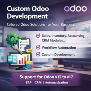 Custom Odoo Development & ERP Solutions for Your Business